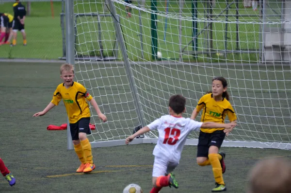 03.06.2016 VFC Plauen vs. VfB Lengenfeld 1908