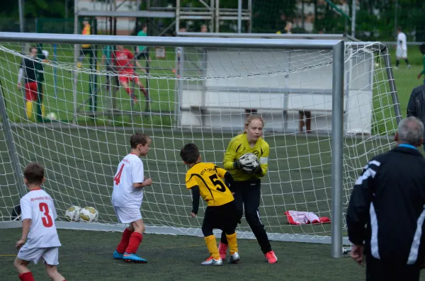 03.06.2016 VFC Plauen vs. VfB Lengenfeld 1908