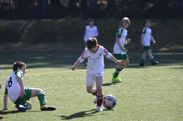 08.04.2018 Wernes./VfB AE/Neust vs. VfB Lengenfeld 1908