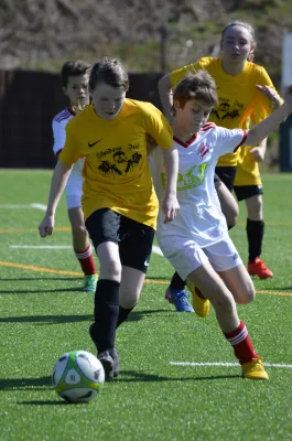 30.03.2019 VfB Lengenfeld 1908 II vs. SpVgg. 1862 Neumark